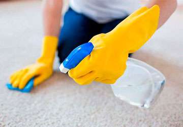 Image of a cleaner spraying a special detergent onto a stained carpet for End of Tenancy Cleaning in Cambridge.